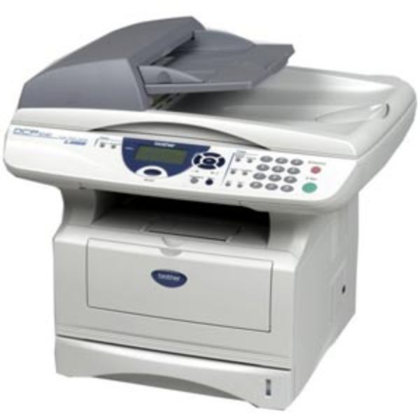 DCP8040.jpg