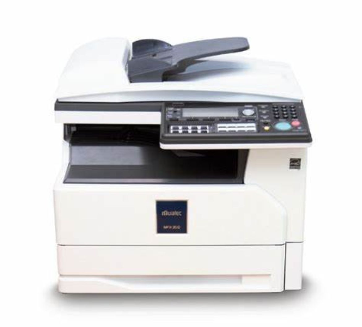 F305.jpg
